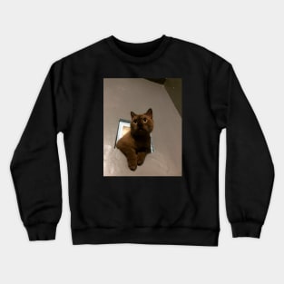 Louis The Cats Crewneck Sweatshirt